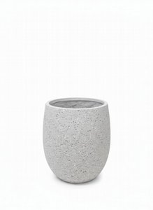 ���� ����� �������� ����