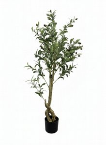 �� ��� 120 �"�