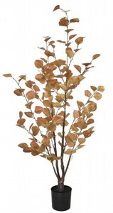���� �������� ���� 120 �� ��� 1811-4