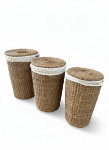 �� ����� ���� ������