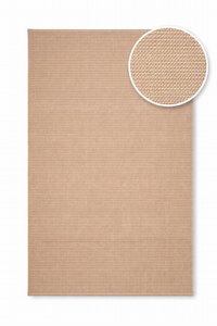 ���� ��� ��� ���